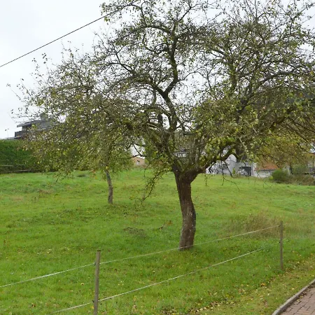 Spacious In With Garden Deudesfeld